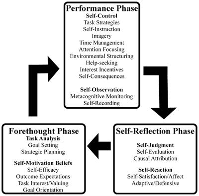 Using a music microanalysis protocol to enhance instrumental practice